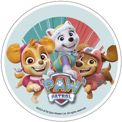 Disque Azyme Pat 'Patrouille Fille 21 cm