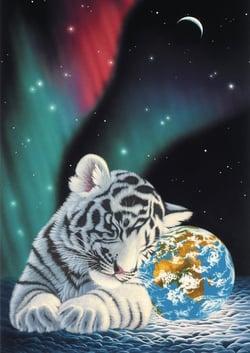 Puzzle 1500 pièces - Schim Schimmel - Earth Lights - Grafika