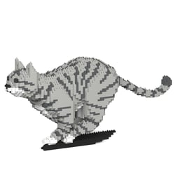 Chat Tigré gris clair qui court | JEKCA | 14 ans et +