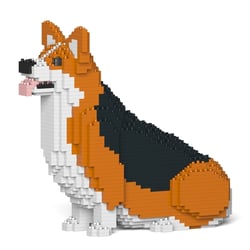 Chien Welsh Corgi assis roux et noir Taille standard | JEKCA | 14 ans et +