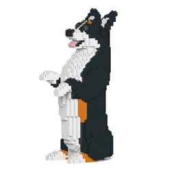 Chien Welsh Corgi debout noir Taille standard | JEKCA | 14 ans et +