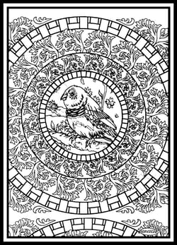 Tableau velours a colorier MANDALA OISEAU Sericolor
