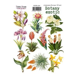 Planche de stickers couleur embelissement Fabrika Decoru BOTANY EXOTIC 204