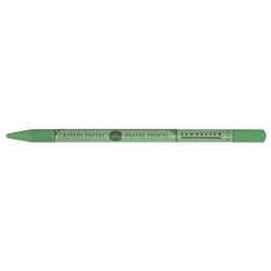 Crayon pastel - Gris vert mousse - 173 - Sans bois - Sennelier