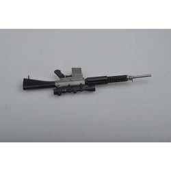SR25