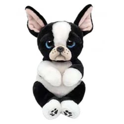 Beanie Bellies Small – Tink Le chien - Ty - Aqua