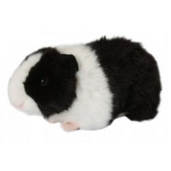 Peluche cochon d'inde noir 18 cm - living nature - an18a
