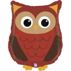 Ballon Géant Hibou