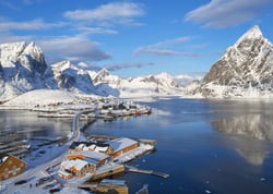 Puzzle 500 pièces - Fjord - Archipel des Lofoten - Bluebird Puzzle