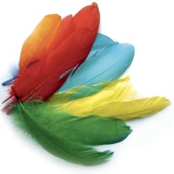 Graine Créative - Plumes d'oie colorées assorties 15g