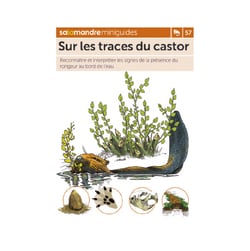 Miniguide 57 - Sur les traces du castor