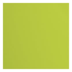 Papier cartonné - Florence - 20 feuilles - Lime - 30,5 x 30,5 cm - 216 g/m²