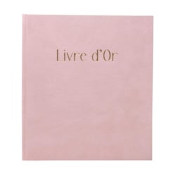Livre d'or 140 pages tranche or Skandi - Nude - Exacompta