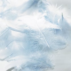 SACHET 20 PLUMES DE COQ Ht.70 - BLEU
