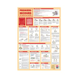 Poster pédagogique - Gestes premiers secours - 52x76cm - A afficher - Bouchut