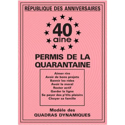 Permis de la 40 aine - Anniversaire - 40 ans - Humour - Carte anniversaire