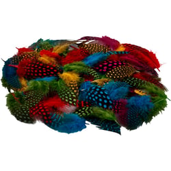 Plumes de pintade, ca. 100 pièce, ass. de couleurs, 3 gr/ 1 Pq.