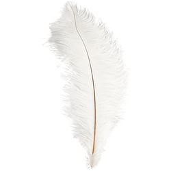 Plumes d'autruche, L : 35-40 cm, blanc, 1 pièce