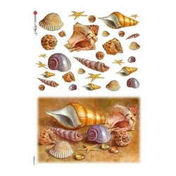 1 feuille de papier de riz 22.5 x 32 cm découpage collage Paper Designs COQUILLAGE 0041