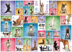 Puzzle 1000 pièces - Yoga Dogs - Eurographics