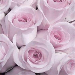 Lot de 4 serviettes en papier découpage collage 33 cm ROSE VINTAGE FA 350