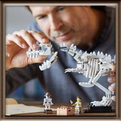 LEGO® 21320 - Fossiles de dinosaures - LEGO® Ideas (CUUSOO)