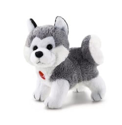 sweet collection - husky