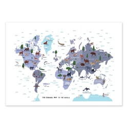 Affiche 30x40 cm - Animal World Map - Alex Foster