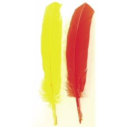 12 Plumes d'Indien 20 cm - 25 gr - assorties