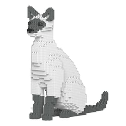Chat Siamois gris assis | JEKCA | 14 ans et +