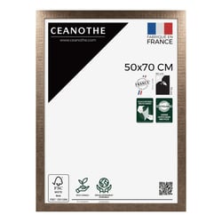 Cadre photo Fauve 50x70 cm