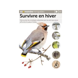 Miniguide 53 - Survivre en hiver