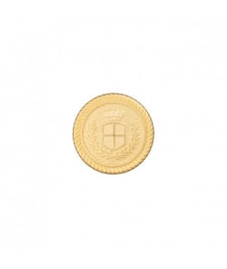 Carte de 2 boutons blazer à queue Doré 23mm - Union Knopf Or