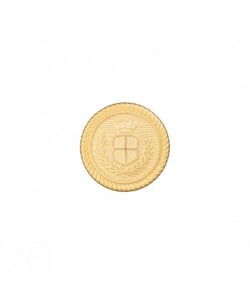 Carte de 2 boutons blazer à queue Doré 23mm - Union Knopf Or