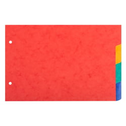 Intercalaires pour fiches bristol carte lustrée 225g/m2 4 positions - A5 148x210mm - Couleurs assorties - x 10 - Exacompta