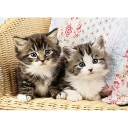 Puzzle 2 chatons 100 pieces - collection animaux - nathan - 86766