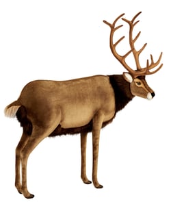 Hansa Peluche Geante Cerf 120 cm H et 100 cm L - Hansa Peluches Géantes - Marron