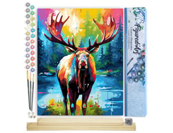 Peinture par Numéro Figured'Art - Orignal Coloré Abstrait - Kit de Loisir Créatif DIY Numéro d'Art Complet - 40x50cm toile roulée + châssis en bois à monter
