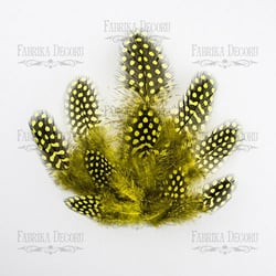 Plumes embelissement décoration scrapbooking Fabrika Décoru JAUNE 018