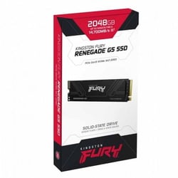 Disque dur SSD interne KINGSTON - FURY Renegade G5 - SSD - SFYR2S/2T0 - Noir - 2048 Go