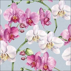 Lot de 4 serviettes en papier découpage collage 33 cm FLEUR ORCHIDEE FOND BLEU F 829