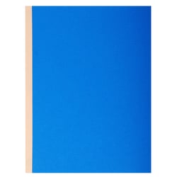 Paquet de 10 chemises à soufflet dos toilé Forever® 320g/m2 - 24x32cm - Couleurs assorties - x 25 - Exacompta