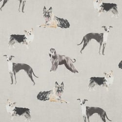 Tissu Toile Canvas chiens Canissimo sur fond Gris perle - Au mètre