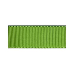 Disquette 16m Gros Grain Petersham VERT ANIS