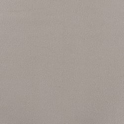 Tissu Jersey Velours éponge envers polaire uni Beige