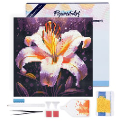 Mini Diamond Painting Broderie Diamant Figured’Art 25x25cm toile tendue sur châssis en bois - diamants ronds - Épanouissement de Lys