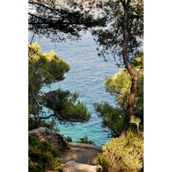 Tableau sur toile chemin vers les calanques 65x97 cm