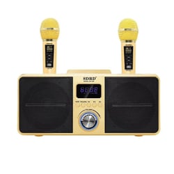Microphone Sans Fil Bluetooth Audio Tout-En-Un Pour Ambiance KTV À Domicile Or YONIS