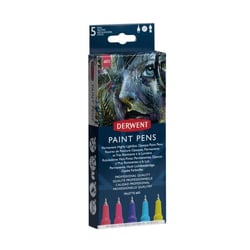 Marqueurs peinture opaque Derwent Paint Pen 5 palette n°3