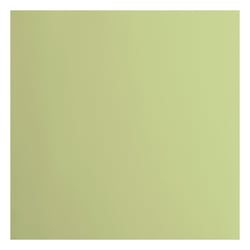 Papier cartonné Florence - Lisse - 20 feuilles - Anise - 30,5 x 30,5 cm - 216 g/m²